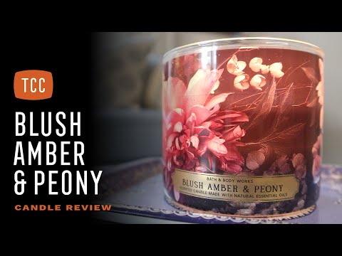 Blush Amber & Peony Candle Review – Bath & Body Works