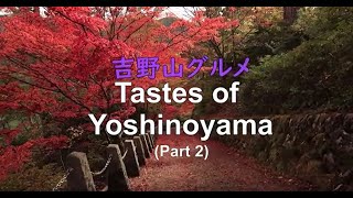 【Tastes of Yoshinoyama / 吉野山グルメ Part 2】 Sliced Kudzu Desert ＆ Kusamochi Rice Cakes / 葛切り＆草餅・桜餅・三色団子