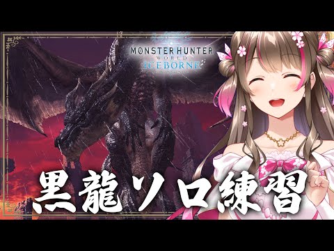 ミラボレアスをソロで周回しまくって練習するぞー【モンスターハンターアイスボーン steam】