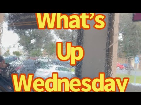 What’s up Wednesday 4/24/24