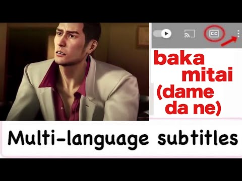 "baka mitai" (dame da ne) multi-language subtitles