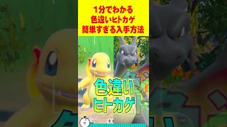 【ポケモンSV】1分で分かる色違いヒトカゲ最速GET 方法 #ポケモンsv #色違い厳選