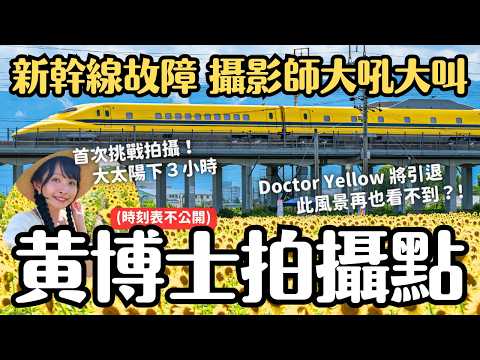 大太陽下等候3小時 就為了拍攝 Doctor Yellow 黃博士&向日葵🌻🌻運行時刻表不公開 上百名攝影師參戰｜女子獨旅 岐阜羽島 大垣向日葵花田 4K VLOG