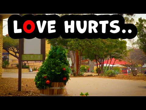 Bushman Prank: Consequences of Love.