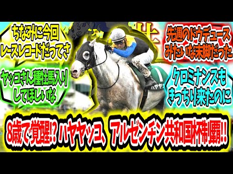 『8歳にて覚醒!?ハヤヤッコ、アルゼンチン共和国杯制覇‼』に対するみんなの反応【競馬の反応集】