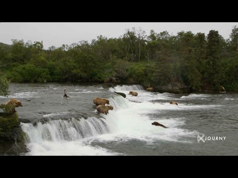 Rock the Park | Explore America's National Parks on JOURNY