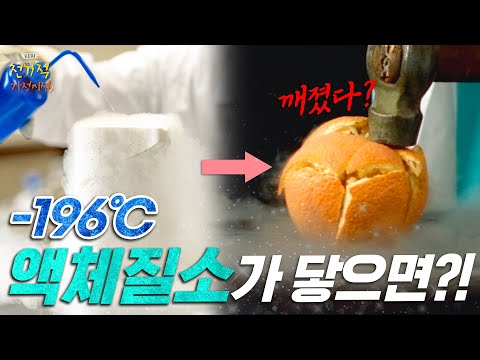 영하 196도의 액체질소🥶?? | 구슬 아이스크림에도?!  | #전기적가정시점 9️⃣