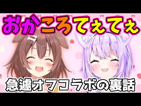 急遽オフコラボをする事になった話をするおかころがてぇてぇ【ホロライブ切り抜き/猫又おかゆ/戌神ころね】