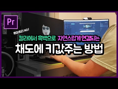 [프리미어프로] 루마트리에서 안되는 칼라 애니메이션 Part1. 채도조절ㅣ흑백화면 효과ㅣPremierePro Animation Tutorials