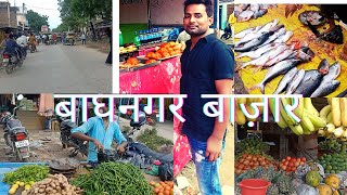 Baghnagar market | sant kabir nagar up | bagnagar bazar | village local market