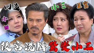 天道 EP229｜轉生總裁後宮大洗牌！正宮瞬間變小三 小四聽到笑不出乃｜精華