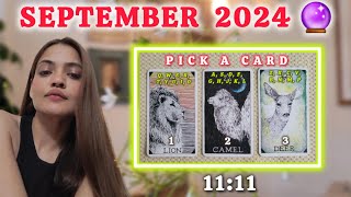 Hindi●🎯SEPTEMBER 2024●💞LOVE●🍀CAREER●📖EXAMS●💰MONEY●🌈PICK A CARD●🦋PREDICTIONS●💎TAROT