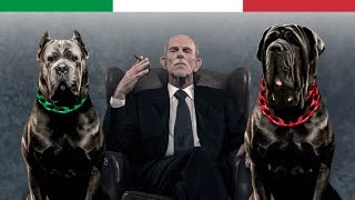 THE 10 ITALIAN DOG BREEDS