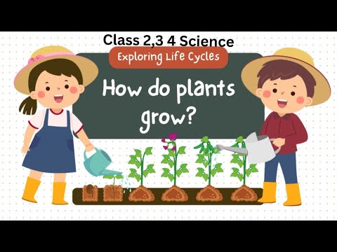 How Do PLANTS Grow 🌱💥| How Do Plants Grow for Kids | Grades 2, 3, 4 Science