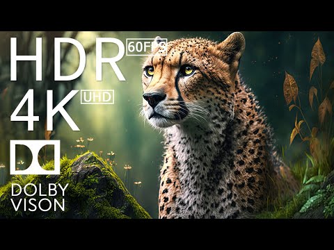 BEST ANIMALS - 4K (60FPS) ULTRA HD - With Nature Sounds (Colorfully Dynamic) #82