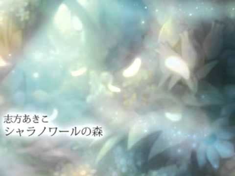 【癒し】幻想的な曲メドレー【作業用BGM】