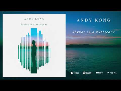 Andy Kong - Harbor in a Hurricane (Audio)