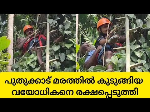 പുതുക്കാട് മരത്തിൽ കുടുങ്ങിയ വയോധികന് രക്ഷകരായി ഫയർഫോഴ്‌സ്