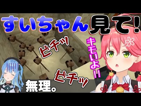 【Minecraft】オタマジャクシの池の水をうっかり全部抜いてしまったみこち【ホロライブ/切り抜き/さくらみこ/星街すいせい】