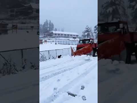 Snow clearing in Kashmir #kashmir  #kashmirinwinters