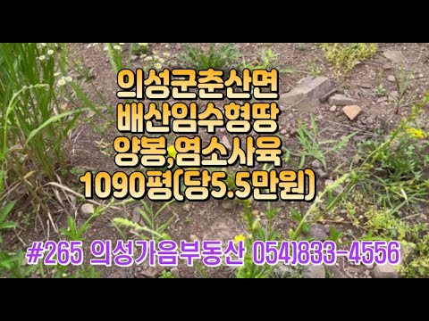 #265 의성가음부동산 계곡안 막장땅 남향 저수지위 전망좋은 묵은밭 컨테이너포함 1090평 6000만 (당5.5만원) 전기인입 양봉 산약초 염소사육적합 #의성땅#주말농장#자연인