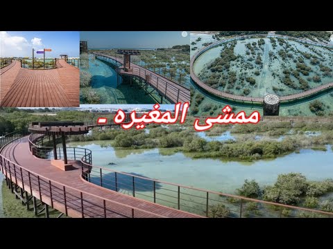 Mamsha Al Mugheirah Al Mugheirah Bay Part 2 | Al Dhafra Region | Sk's Tasty Dishes