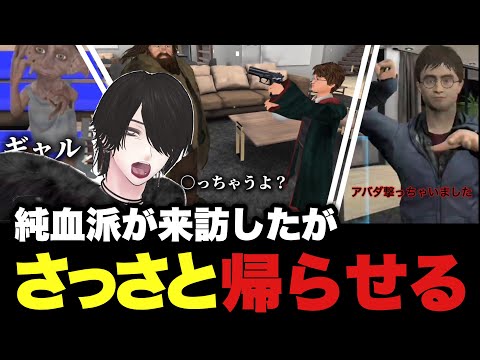 【VRChat】ハリー「アバダ、撃てました。」