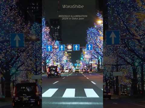 Drive surrounded by trees with lots of lights | Midosuji Illumination 2024 in Osaka Japan