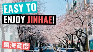 櫻花 Cherry Blossoms / 鎮海慶和站與餘佐川 Jinhae Gyeonghwa Station & Yeozwacheon Stream (2020324)