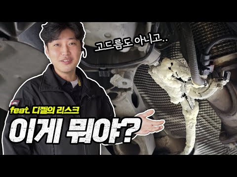 이게 뭔데 여기에 있어? / BMW 7시리즈 디젤 AdBlue 시스템