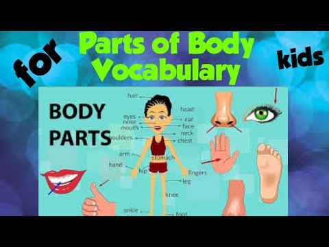 Body Parts in English by Little_Aadhya29 Kids English | Adi Keshari|