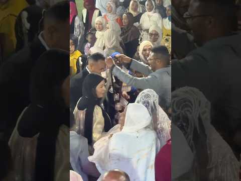 نغمات بيبو ادم ❤️ افراح نوبية #wedding #tag #trending #trend #tiktok #tiktoktrend #tago  #تاجو