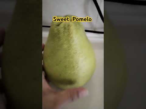 Sweet Pomelo #fruitlovers #fruits #sweets #healtyfruit #satisfying #trending #viral #yummy #shorts