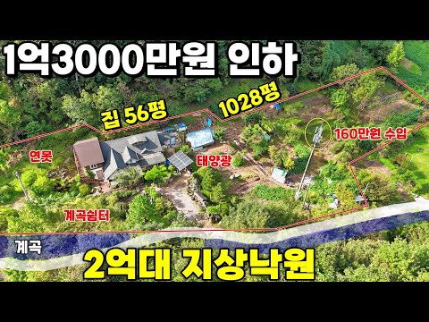 54.⚡급매⚡1억3000만원인하된 전원주택! 수년간 가꾼 지상낙원을 이 가격에?! 160만원 수익과 연못 계곡이 있는 예술가들의 영감쉼터 급매물 제천땅집부동산TV