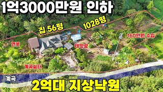 54.⚡급매⚡1억3000만원인하된 전원주택! 수년간 가꾼 지상낙원을 이 가격에?! 160만원 수익과 연못 계곡이 있는 예술가들의 영감쉼터 급매물 제천땅집부동산TV