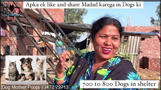 बच्चों की मदद के लिए आगे आओ || 800 Dogs in Shelter || Dog Mother Pooja 🙏