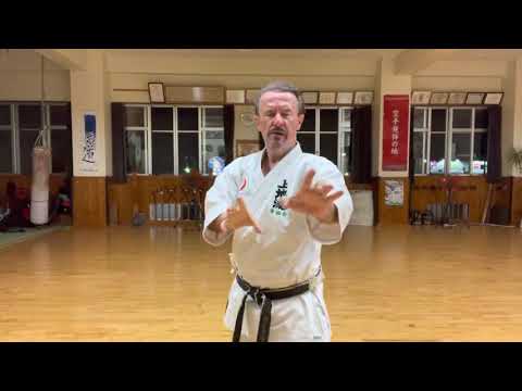 Uechiryu Fukyū Kata 3 “Wauke-Nūjidi” block explained 普及型3 回し受け〜ぬーじでぃ説明 #karate #空手 #上地流 #uechiryu