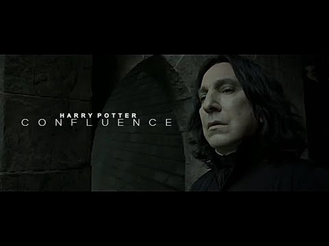 Confluence | Harry Potter