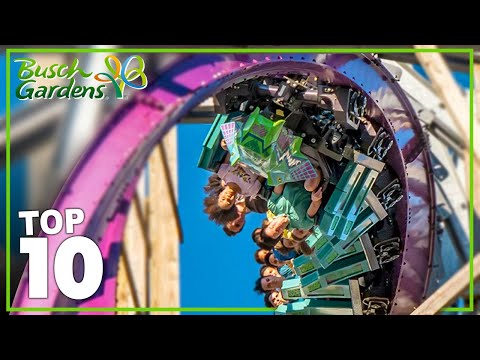 Top 10 Best Rides at BUSCH GARDENS TAMPA BAY - 2024!