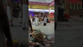 #panchavadyam #temple #lordayyappansongs #lordayyappabhakthigeethalu #ulsavam #viralvideo #trending