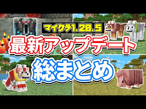 【マイクラ1.20.5】最新アップデート総まとめ‼アルマジロ＆オオカミ8種類が追加！オオカミの鎧・4つの進捗・1.21要素で遊ぶ方法など詳しく解説！【マインクラフト】統合版1.20.80最新情報