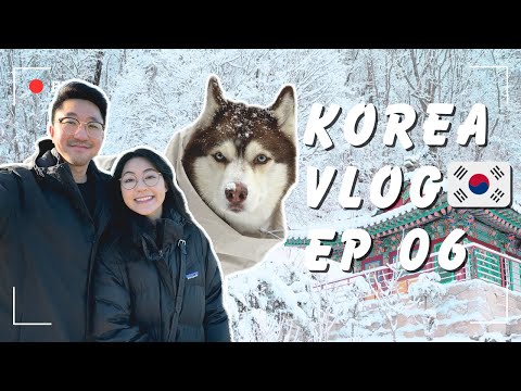 SEOUL TRAVEL VLOG | BIGGEST SNOW DAY in 40 YEARS!!! With our Husky (Ep 06)