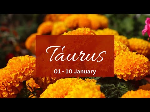 Taurus❤️They have fallen hard for u Taurus! The runner can’t avoid this commitment anymore..