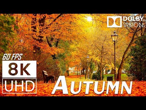 AUTUMN - Scenic Relaxation Film With Inspiring Cinematic Music - 4K (60fps) Video Ultra HD