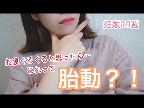 【胎動？！】妊娠１９週目の経過報告！