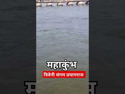 Ye prayagraj Hai #trending #prayagrajkumbh #mahakumbh2025 #viralvideo #shorts #song #reels