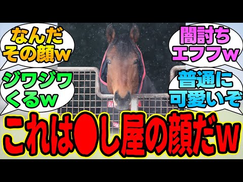 『●し屋みたいなエフフォーリア』に対するみんなの反応集