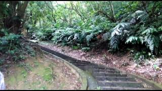 [小米麻糬帶路]台灣。野餐趣