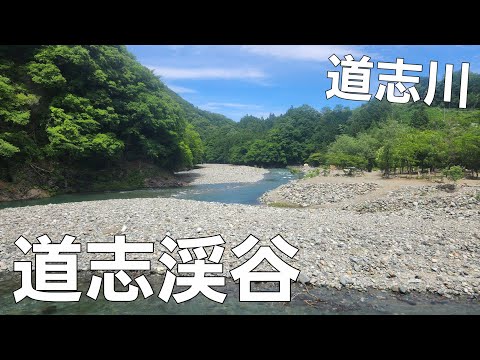 【山梨県】雨のぼっちキャンプ【道志渓谷キャンプ場】【ソロキャンプ】