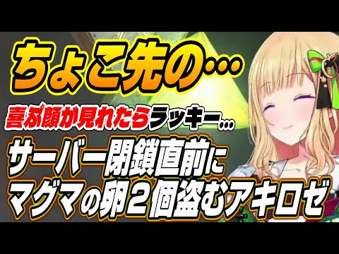 【ホロライブ切り抜き/アキロゼ】ちょこ先の喜ぶ顔が・・・サーバー閉鎖直前に突発レイドでロストしたマグマザウルスの卵２個を盗むアキロゼ【常闇トワ/尾丸ポルカ/白上フブキ/姫森ルーナ】